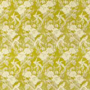 Avium Chartreuse by Clarke And Clarke Fabric