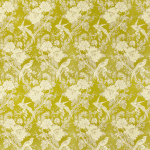 Avium Chartreuse by Clarke And Clarke Fabric