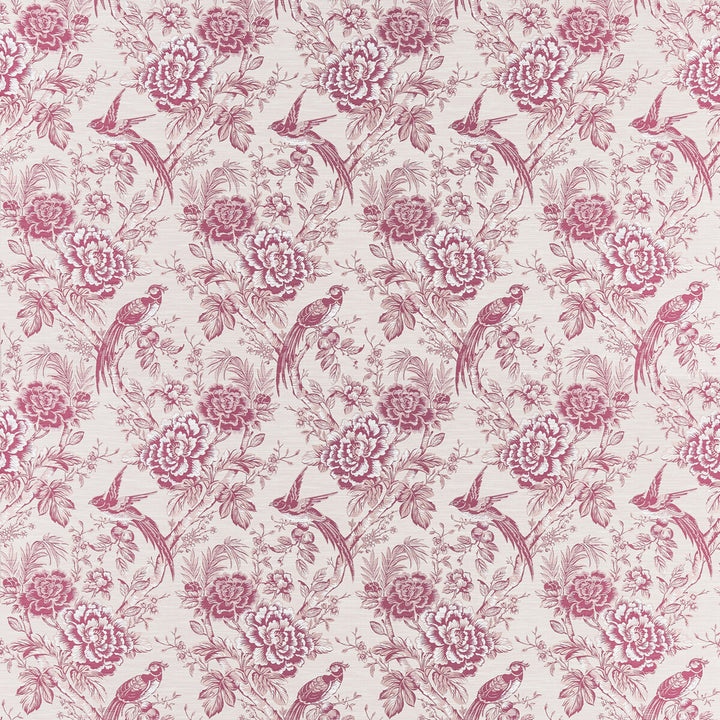 Avium Raspberry by Clarke And Clarke Fabric Clarke And Clarke Fabric Avium RaspberryFabric CLARKE & CLARKE BOTANIST POLYESTER - 62%;COTTON - 38% India </p><p>Repeat: H: 14, V: 29.53 56 - Fabric Carolina -