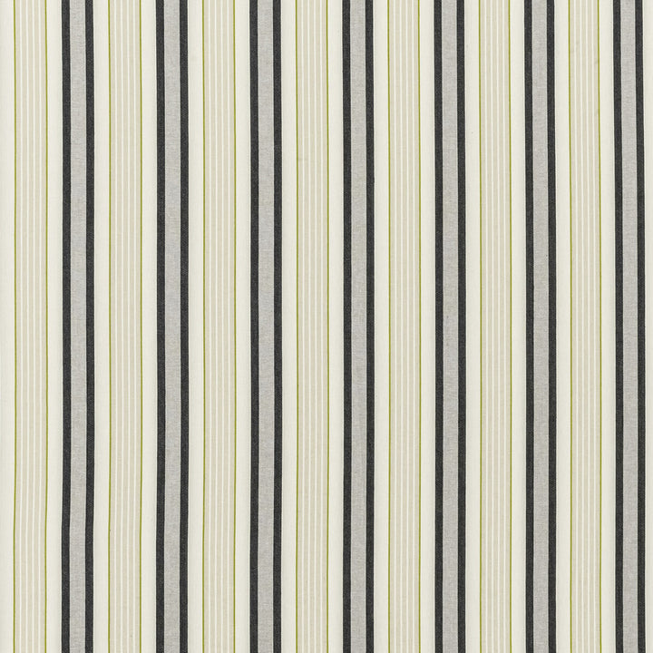 Belvoir Charcoal/Chartreu by Clarke And Clarke Fabric Clarke And Clarke Fabric Belvoir Charcoal/ChartreuFabric CLARKE & CLARKE BOTANIST COTTON - 73%;POLYESTER - 27% India </p><p>Repeat: H: 5.25, V: 0 54 - Fabric Carolina -