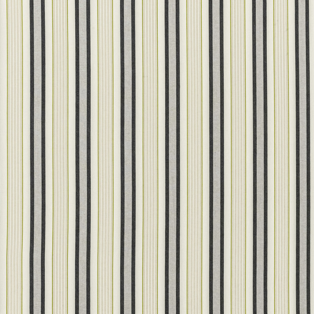 Belvoir Charcoal/Chartreu by Clarke And Clarke Fabric Clarke And Clarke Fabric Belvoir Charcoal/ChartreuFabric CLARKE & CLARKE BOTANIST COTTON - 73%;POLYESTER - 27% India </p><p>Repeat: H: 5.25, V: 0 54 - Fabric Carolina -