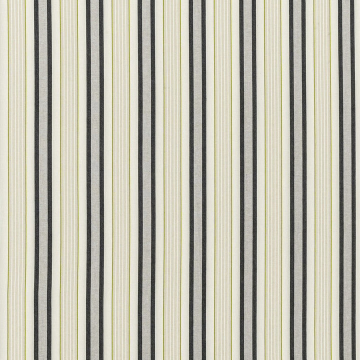 Belvoir Charcoal/Chartreu by Clarke And Clarke Fabric Clarke And Clarke Fabric Belvoir Charcoal/ChartreuFabric CLARKE & CLARKE BOTANIST COTTON - 73%;POLYESTER - 27% India </p><p>Repeat: H: 5.25, V: 0 54 - Fabric Carolina -