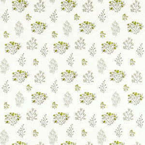Floris Chartreuse by Clarke And Clarke Fabric