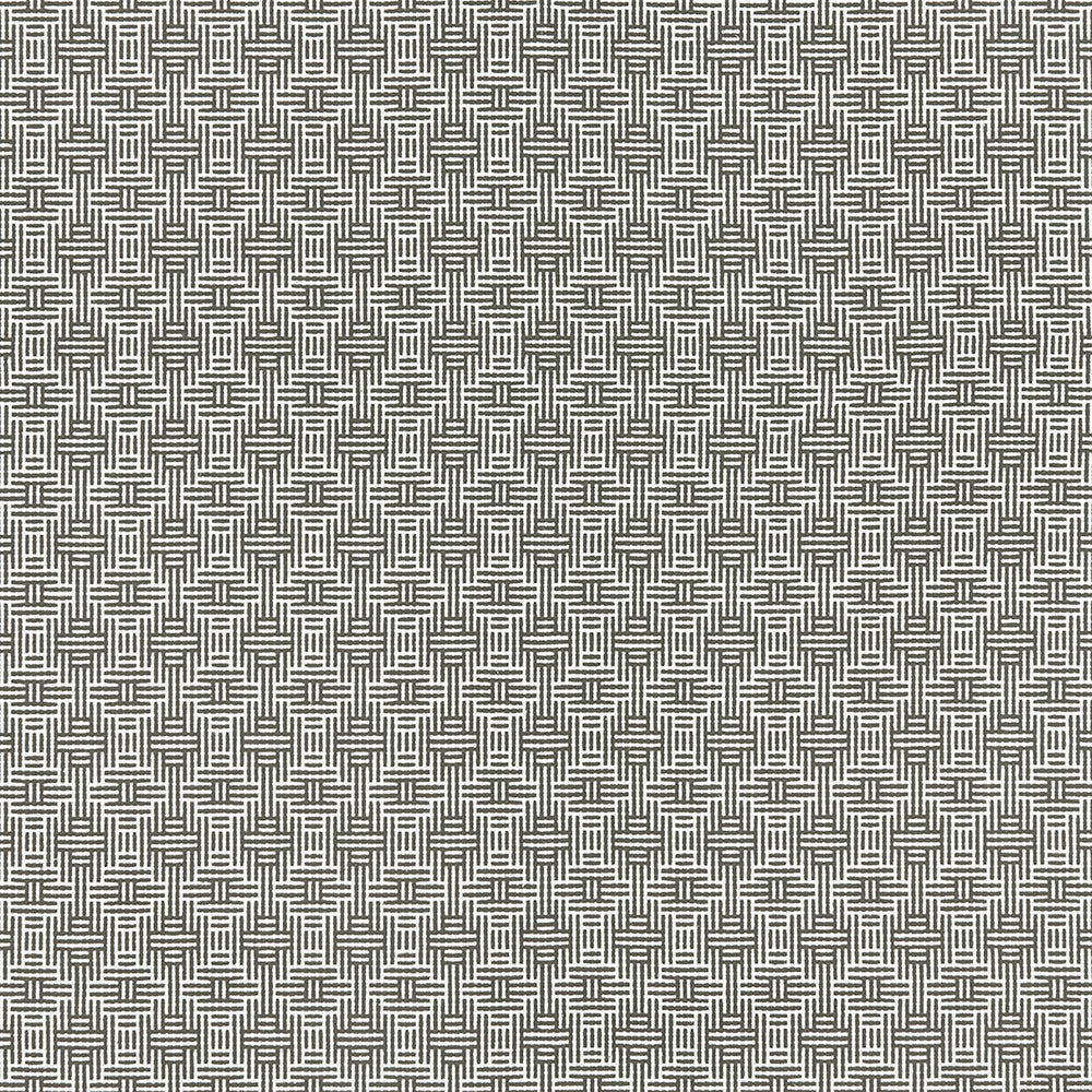 Aztec Charcoal by Clarke And Clarke Fabric Clarke And Clarke Fabric Aztec CharcoalFabric CLARKE & CLARKE ORIGINS COTTON - 100% India </p><p>Repeat: H: 1.5, V: 1.7 55 - Fabric Carolina -