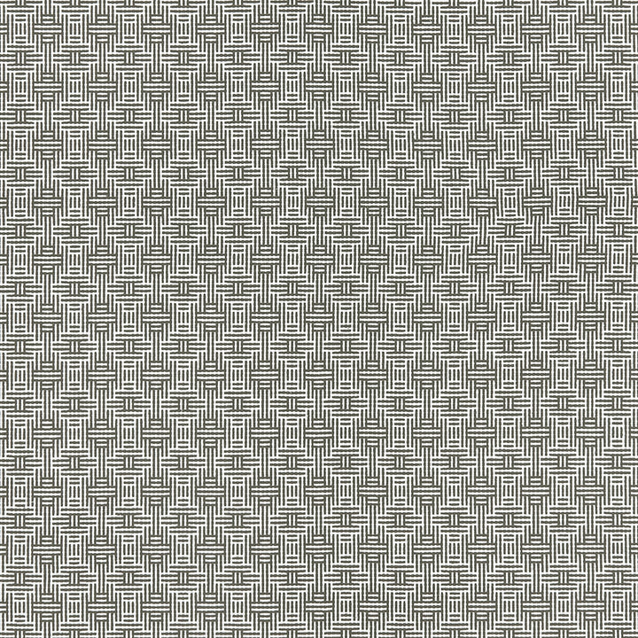 Aztec Charcoal by Clarke And Clarke Fabric Clarke And Clarke Fabric Aztec CharcoalFabric CLARKE & CLARKE ORIGINS COTTON - 100% India </p><p>Repeat: H: 1.5, V: 1.7 55 - Fabric Carolina -