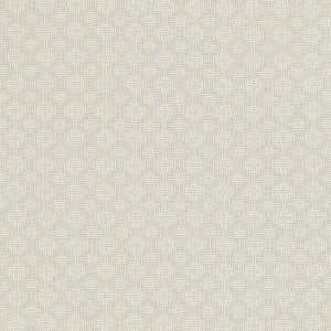 Aztec Ivory by Clarke And Clarke Fabric