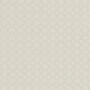 Aztec Ivory by Clarke And Clarke Fabric