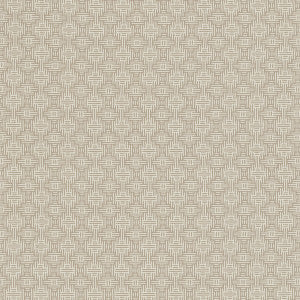Aztec Linen by Clarke And Clarke Fabric