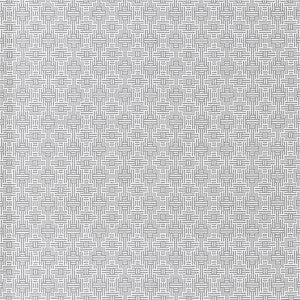Aztec Silver by Clarke And Clarke Fabric