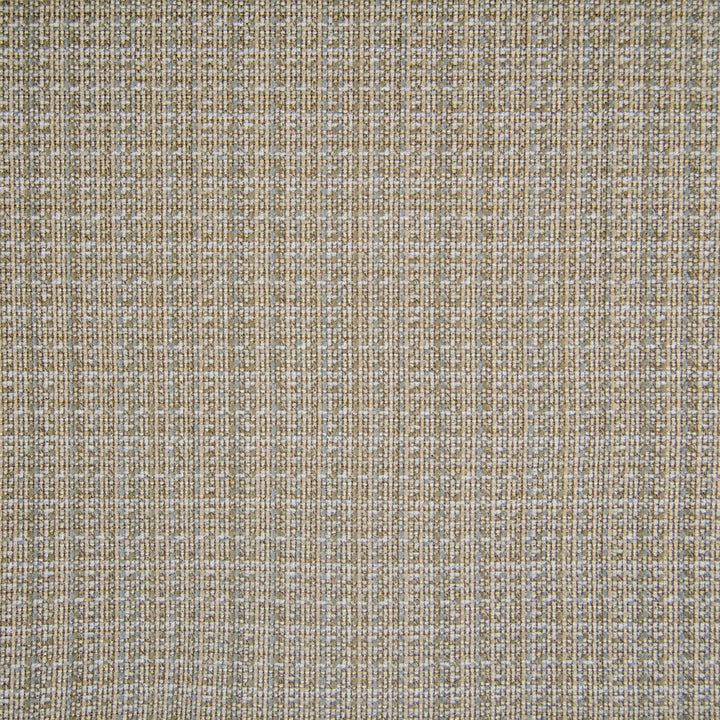 F1441 Flax by Greenhouse Designer Fabric 100% Polyester China 90,000 double rubs </p><p>Repeat: None 54" - Swanky Fabrics -