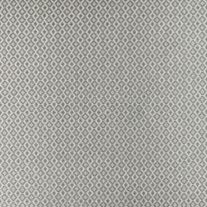 Mono Charcoal by Clarke And Clarke Fabric