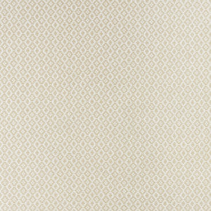 Mono Ivory/Linen by Clarke And Clarke Fabric