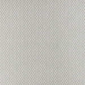 Mono Silver by Clarke And Clarke Fabric