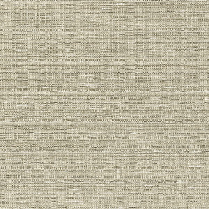 Ramie Linen by Clarke And Clarke Fabric
