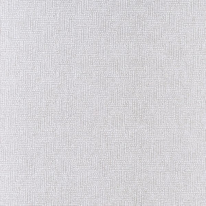 Solitaire Silver by Clarke And Clarke Fabric