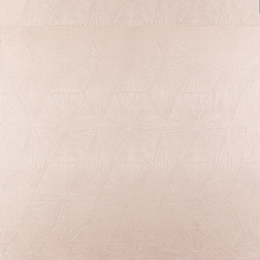 Blaize Blush by Clarke And Clarke Fabric Clarke And Clarke Fabric Blaize BlushFabric CLARKE & CLARKE GEOMO POLYESTER - 92%;COTTON - 8% India </p><p>Repeat: H: 13.5, V: 26.78 54 - Fabric Carolina -