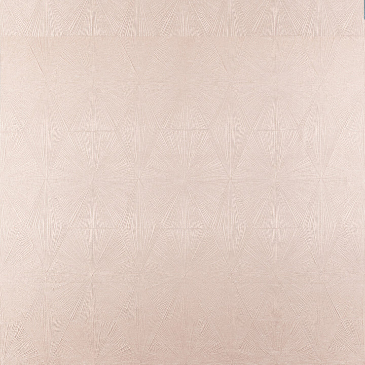 Blaize Blush by Clarke And Clarke Fabric Clarke And Clarke Fabric Blaize BlushFabric CLARKE & CLARKE GEOMO POLYESTER - 92%;COTTON - 8% India </p><p>Repeat: H: 13.5, V: 26.78 54 - Fabric Carolina -