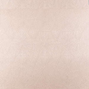 Blaize Blush by Clarke And Clarke Fabric