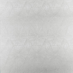Blaize Pewter by Clarke And Clarke Fabric