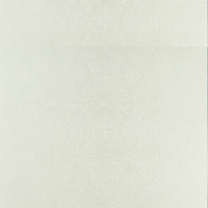 Blaize Silver by Clarke And Clarke Fabric