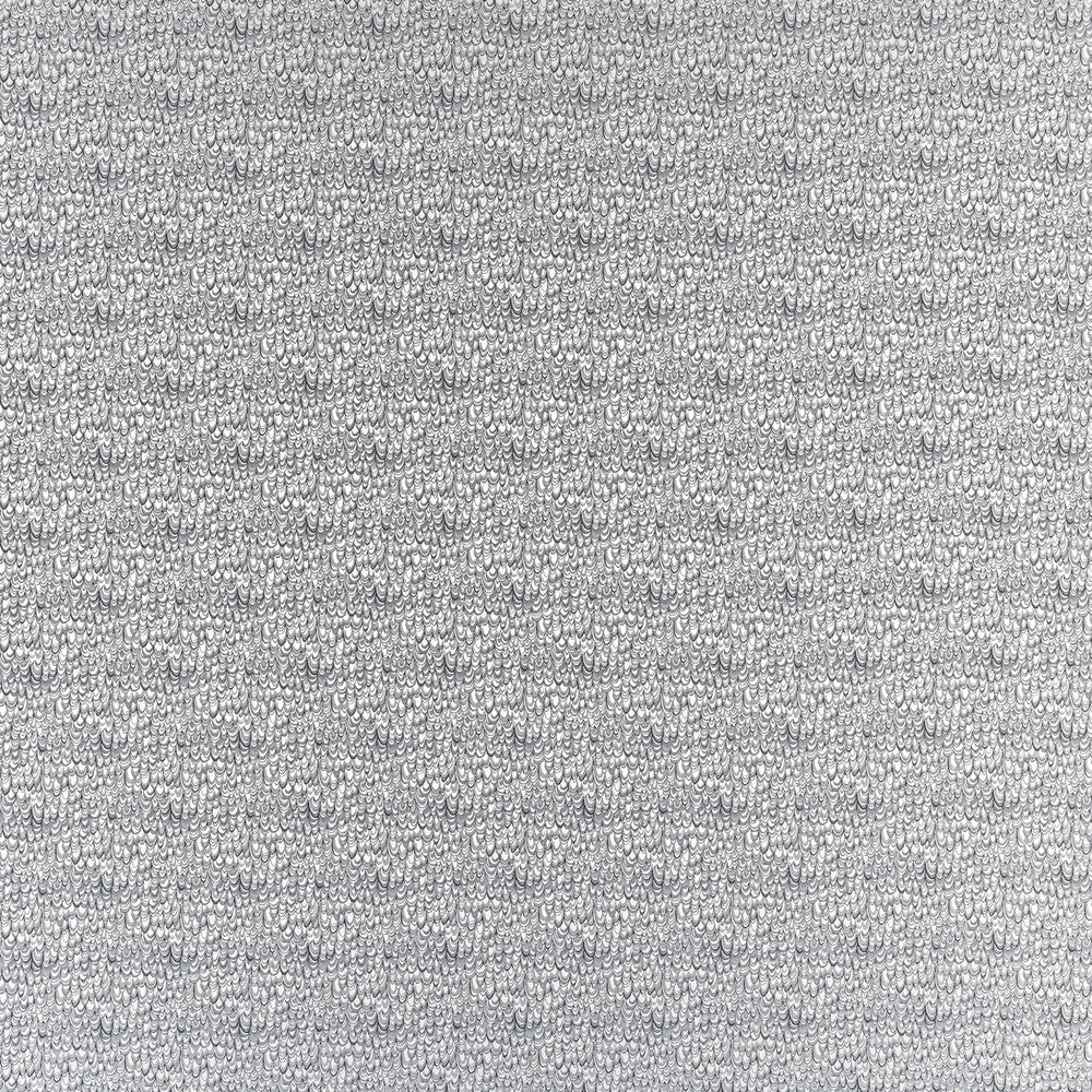 Erebia Pewter by Clarke And Clarke Fabric Clarke And Clarke Fabric Erebia PewterFabric CLARKE & CLARKE GEOMO POLYESTER - 100% India </p><p>Repeat: H: 6.75, V: 7.09 54 - Fabric Carolina -