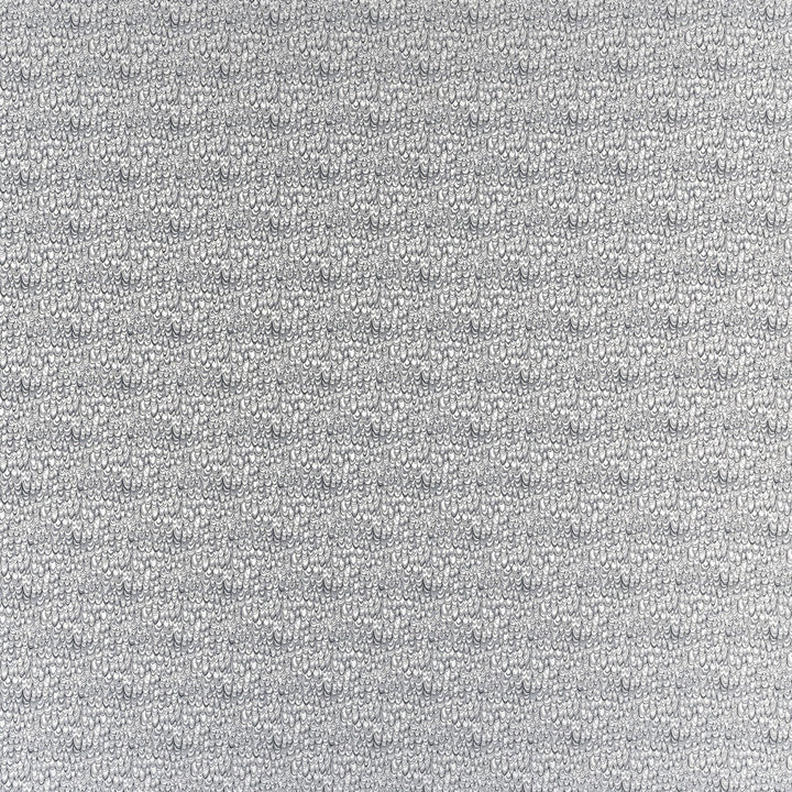 Erebia Pewter by Clarke And Clarke Fabric Clarke And Clarke Fabric Erebia PewterFabric CLARKE & CLARKE GEOMO POLYESTER - 100% India </p><p>Repeat: H: 6.75, V: 7.09 54 - Fabric Carolina -