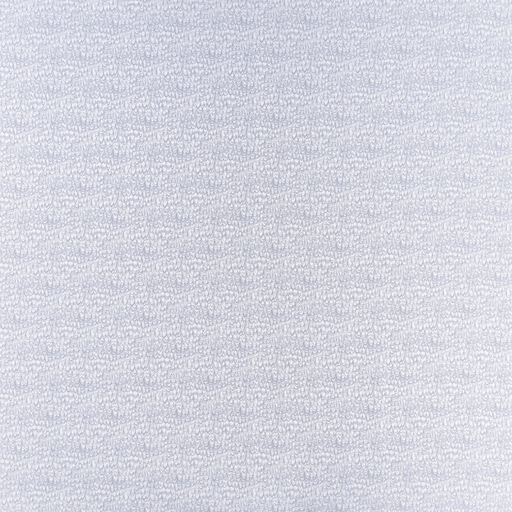 Erebia Silver by Clarke And Clarke Fabric Clarke And Clarke Fabric Erebia SilverFabric CLARKE & CLARKE GEOMO POLYESTER - 100% India </p><p>Repeat: H: 6.75, V: 7.09 54 - Fabric Carolina -