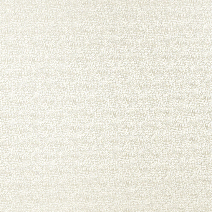 Erebia Taupe by Clarke And Clarke Fabric Clarke And Clarke Fabric Erebia TaupeFabric CLARKE & CLARKE GEOMO POLYESTER - 100% India </p><p>Repeat: H: 6.75, V: 7.09 54 - Fabric Carolina -