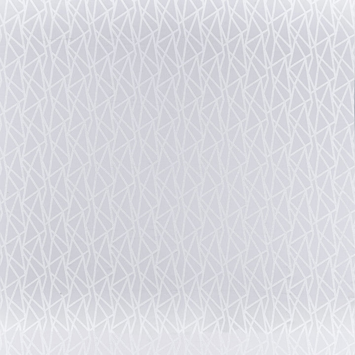 Geomo Silver by Clarke And Clarke Fabric Clarke And Clarke Fabric Geomo SilverFabric CLARKE & CLARKE GEOMO POLYESTER - 75%;COTTON - 25% India </p><p>Repeat: H: 13.5, V: 6.7 54 - Fabric Carolina -