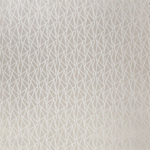 Geomo Taupe by Clarke And Clarke Fabric