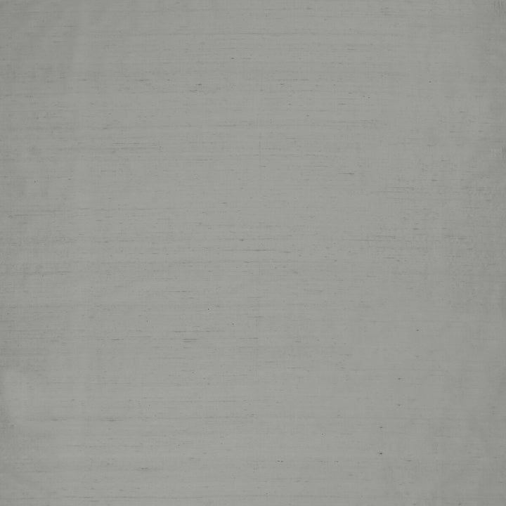 Slyph Aluminium by Clarke And Clarke Fabric WILDERIE BY EMMA J SHIPLEY FOR C&C SILK - 100% India Horizontal: 0 and Vertical: 0 54 - Fabric Carolina -