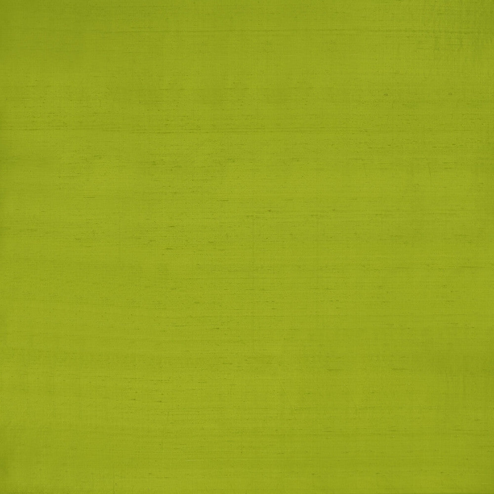 Slyph Lime by Clarke And Clarke Fabric WILDERIE BY EMMA J SHIPLEY FOR C&C SILK - 100% India Horizontal: 0 and Vertical: 0 54 - Fabric Carolina -