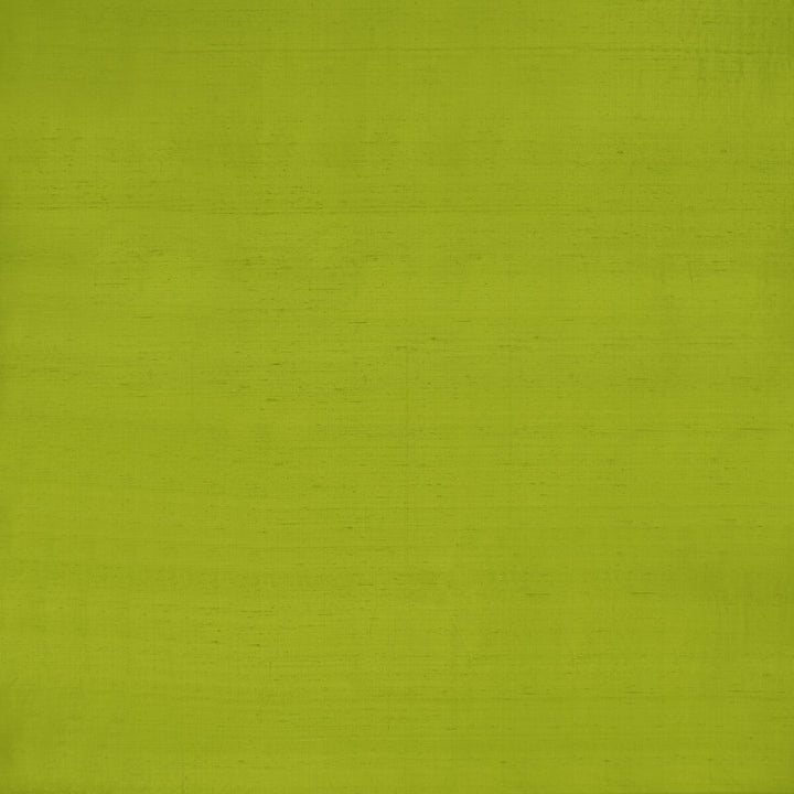 Slyph Lime by Clarke And Clarke Fabric WILDERIE BY EMMA J SHIPLEY FOR C&C SILK - 100% India Horizontal: 0 and Vertical: 0 54 - Fabric Carolina -