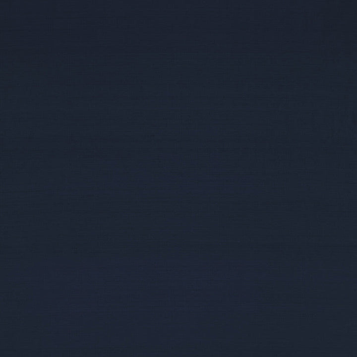 Slyph Night by Clarke And Clarke Designer Fabric WILDERIE BY EMMA J SHIPLEY FOR C&C SILK - 100% India Horizontal: 0 and Vertical: 0 54 - Swanky Fabrics -