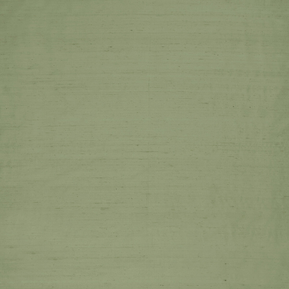 Slyph Pistachio by Clarke And Clarke Fabric WILDERIE BY EMMA J SHIPLEY FOR C&C SILK - 100% India Horizontal: 0 and Vertical: 0 54 - Fabric Carolina -