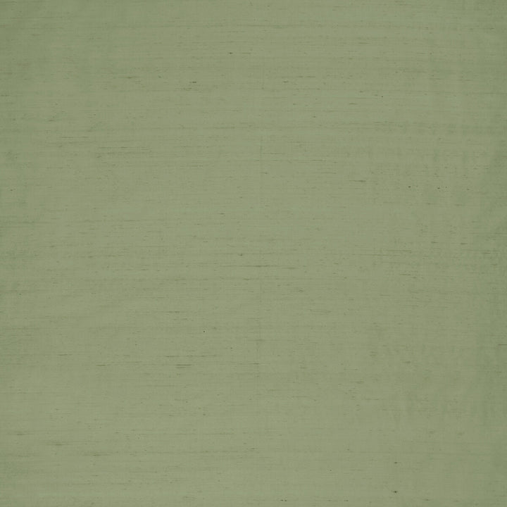 Slyph Pistachio by Clarke And Clarke Fabric WILDERIE BY EMMA J SHIPLEY FOR C&C SILK - 100% India Horizontal: 0 and Vertical: 0 54 - Fabric Carolina -
