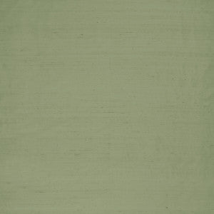 Slyph Pistachio by Clarke And Clarke Fabric