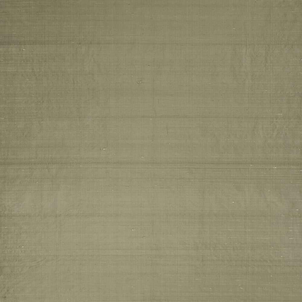 Slyph Tan by Clarke And Clarke Fabric WILDERIE BY EMMA J SHIPLEY FOR C&C SILK - 100% India Horizontal: 0 and Vertical: 0 54 - Fabric Carolina -