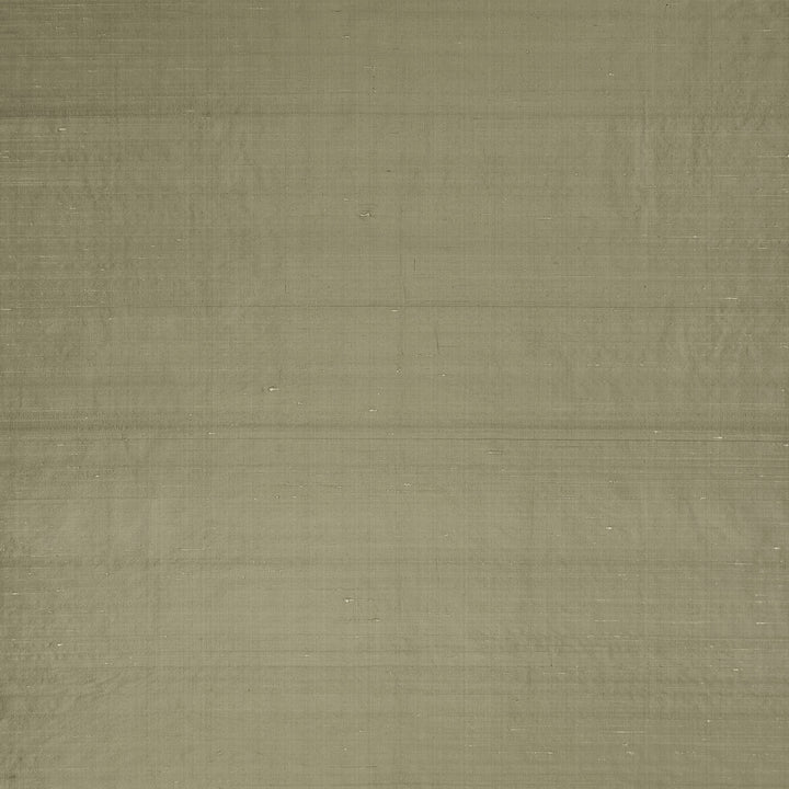 Slyph Tan by Clarke And Clarke Fabric Clarke And Clarke Fabric Slyph TanFabric WILDERIE BY EMMA J SHIPLEY FOR C&C SILK - 100% India </p><p>Repeat: H: 0, V: 0 54 - Fabric Carolina -