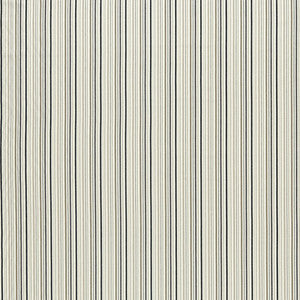 Maryland Charcoal/Natural by Clarke And Clarke Fabric