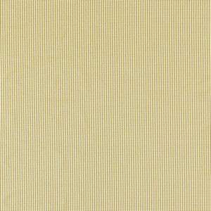 Windsor Ochre by Clarke And Clarke Fabric
