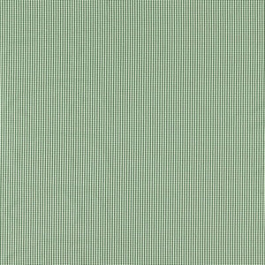 Windsor Racing Green by Clarke And Clarke Fabric