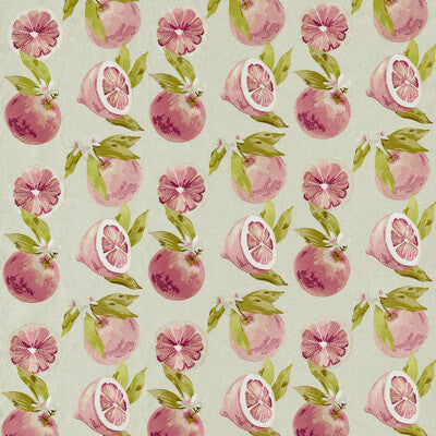 F1506/01.CAC.0 by Clarke And Clarke Fabric Clarke And Clarke Fabric F1506/01.CAC.0Fabric CLARKE & CLARKE POMARIUM COTTON - 100% India </p><p>Repeat: H: 17.05, V: 18.9 51.18 - Fabric Carolina -