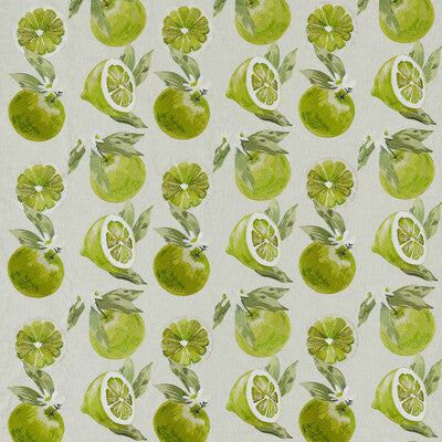 F1506/02.CAC.0 by Clarke And Clarke Fabric Clarke And Clarke Fabric F1506/02.CAC.0Fabric CLARKE & CLARKE POMARIUM COTTON - 100% India </p><p>Repeat: H: 17.05, V: 18.9 51.18 - Fabric Carolina -