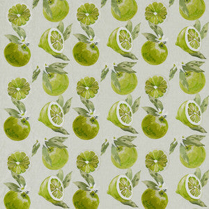 Agrias Lime by Clarke And Clarke Fabric