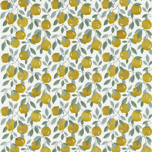 Sicilian Lemon by Clarke And Clarke Fabric