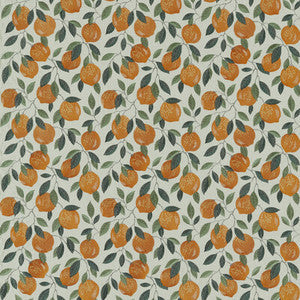 Sicilian Orange by Clarke And Clarke Fabric