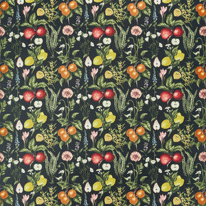 Sorento Ebony Velvet by Clarke And Clarke Fabric