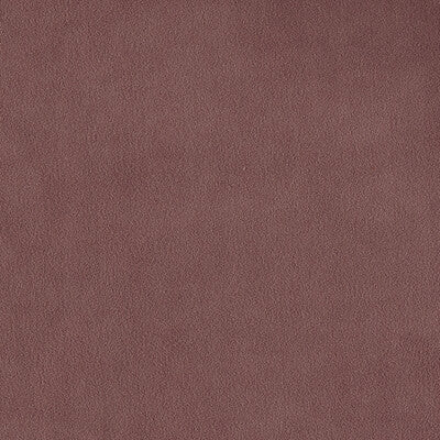 F1511/20.CAC.0 by Clarke And Clarke Fabric Clarke And Clarke Fabric F1511/20.CAC.0Fabric CLARKE & CLARKE MIAMI POLYESTER FR - 100% Turkey </p><p>Repeat: H: 0, V: 0 116.93 - Fabric Carolina -