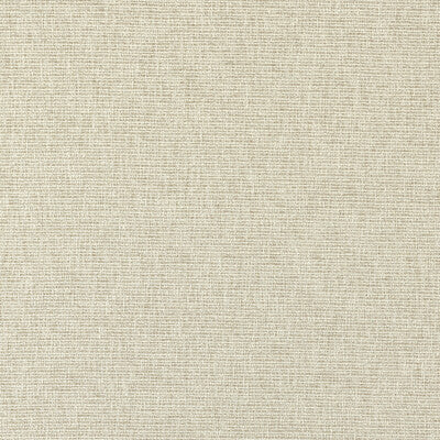 F1527/05.CAC.0 by Clarke And Clarke Fabric Clarke And Clarke Fabric F1527/05.CAC.0Fabric CLARKE & CLARKE ECO RECYCLED POLYESTER - 100% Turkey </p><p>Repeat: H: 0, V: 0.51 54.33 - Fabric Carolina -